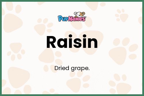 Raisin dog name meaning