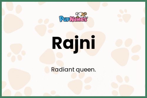 Rajni dog name meaning