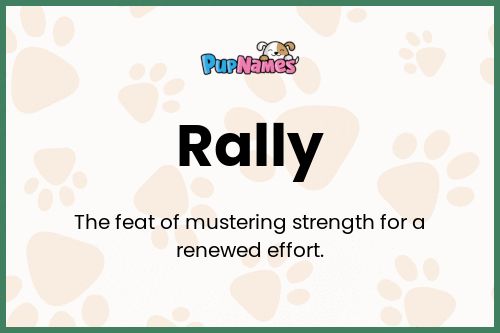 Rally dog name meaning