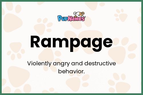 Rampage dog name meaning