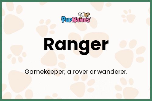 Ranger dog name meaning