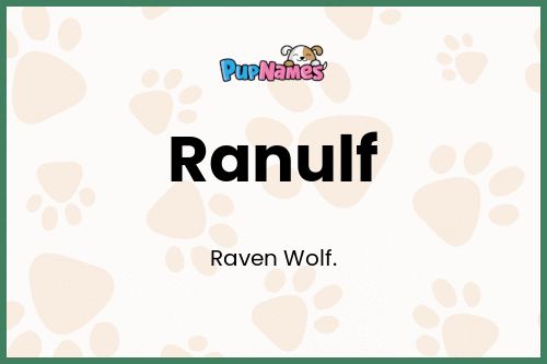 Ranulf dog name meaning