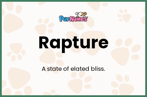 Rapture dog name meaning