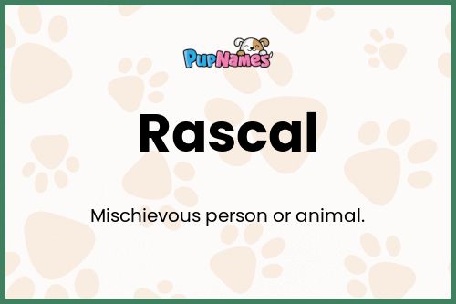 Rascal dog name meaning