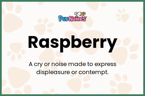 Raspberry dog name meaning