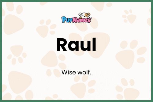 Raul dog name meaning