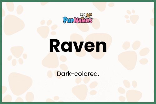 Raven dog name meaning