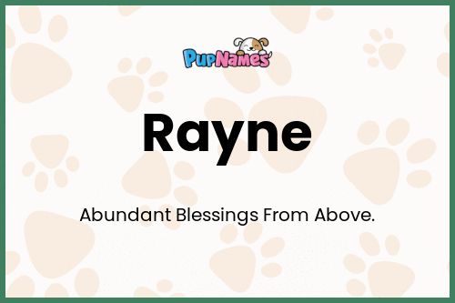 Rayne dog name meaning