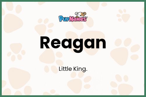 Reagan dog name meaning