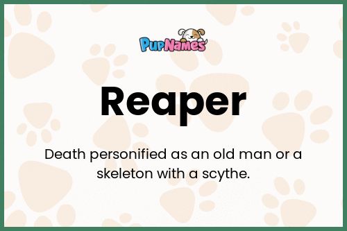 Reaper dog name meaning