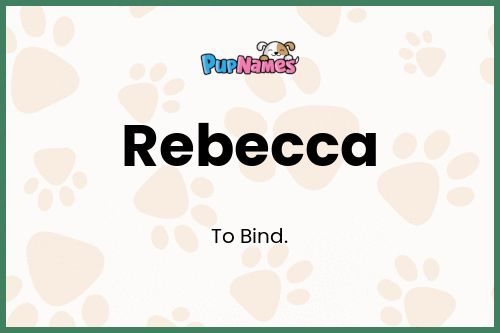 Rebecca dog name meaning