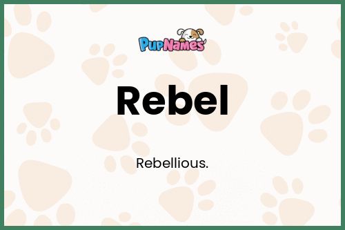 Rebel dog name meaning