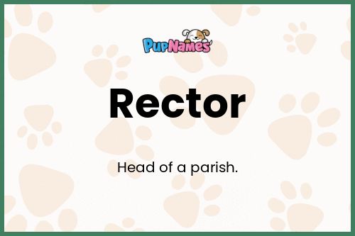 Rector dog name meaning