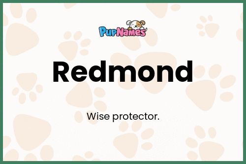 Redmond dog name meaning