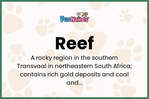 Reef dog name meaning