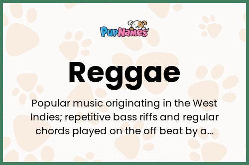 Reggae dog name meaning