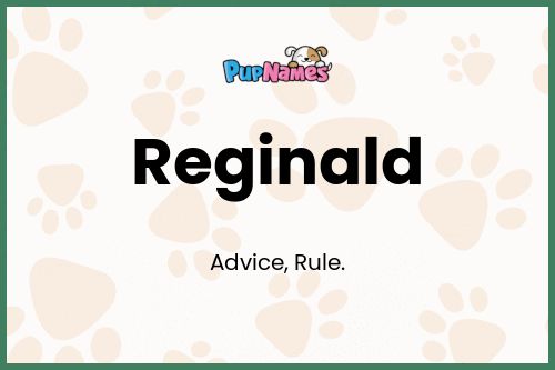 Reginald dog name meaning