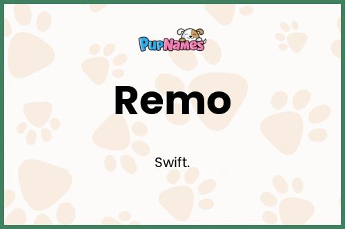 Remo dog name meaning