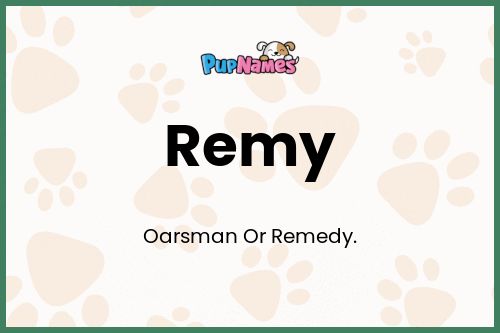 Remy dog name meaning