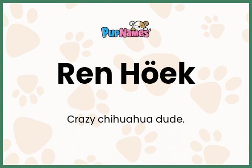 Ren Höek dog name meaning