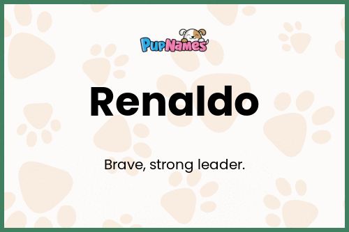 Renaldo dog name meaning