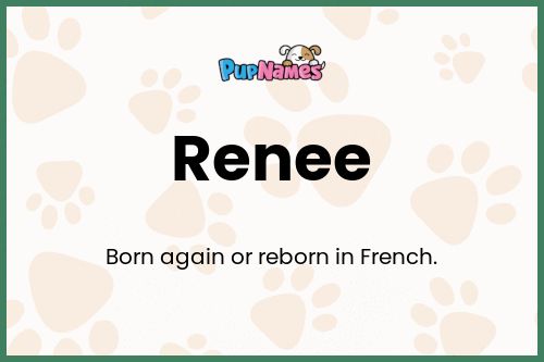 Renée dog name meaning