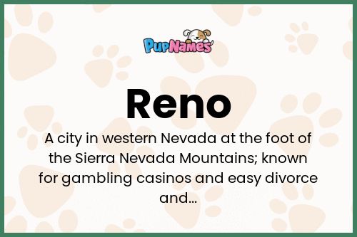 Reno dog name meaning