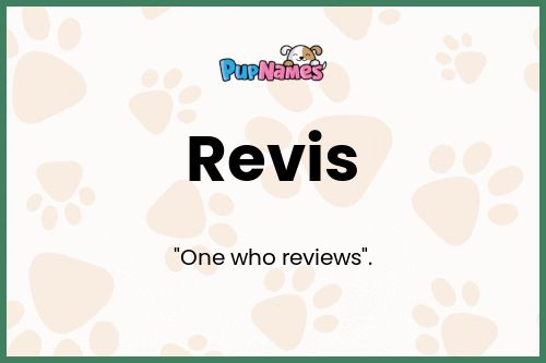 Revis dog name meaning