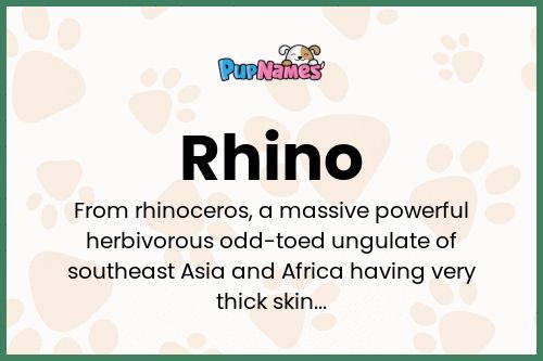 Rhino dog name meaning