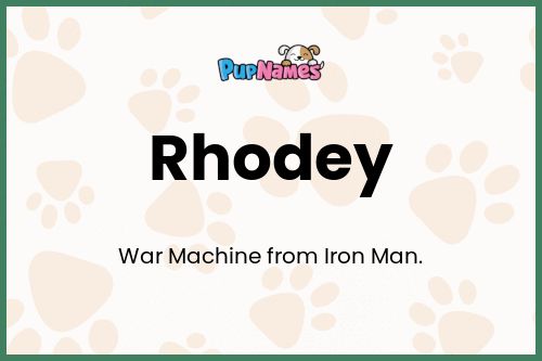 Rhodey dog name meaning