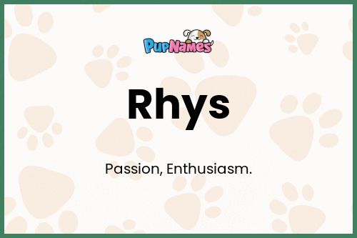 Rhys dog name meaning