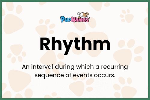 Rhythm dog name meaning