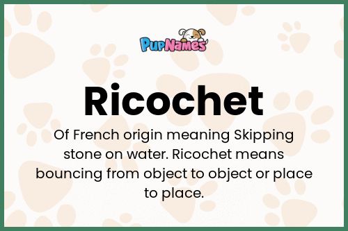 Ricochet dog name meaning