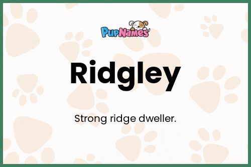 Ridgley dog name meaning