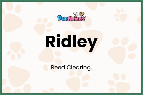 Ridley dog name meaning