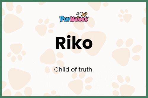 Riko dog name meaning