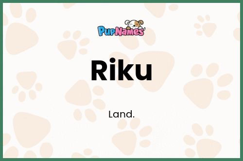 Riku dog name meaning