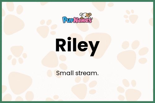 Riley dog name meaning