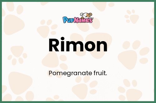 Rimon dog name meaning