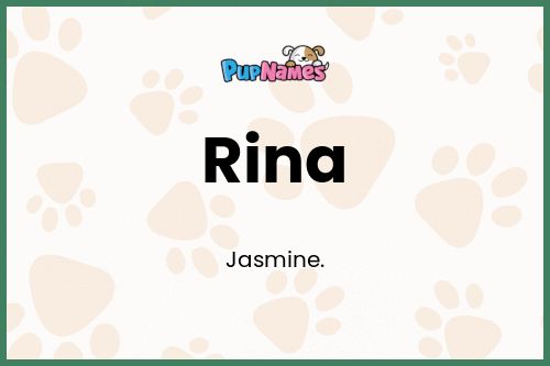 Rina dog name meaning