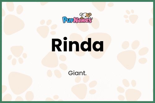 Rinda dog name meaning