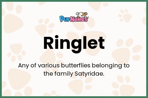 Ringlet dog name meaning