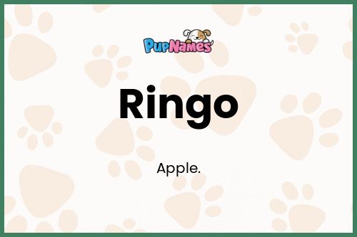 Ringo dog name meaning