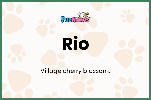 Rio dog name meaning