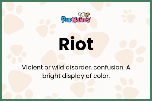 Riot dog name meaning