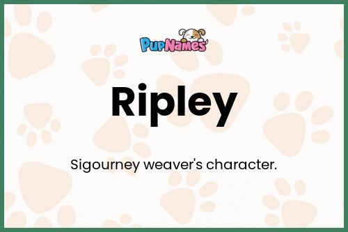 Ripley dog name meaning