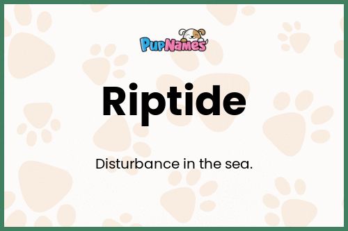 Riptide dog name meaning