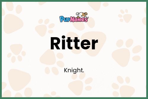 Ritter dog name meaning