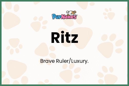 Ritz dog name meaning