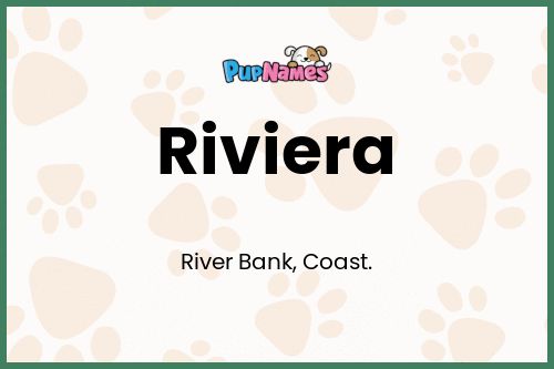 Riviera dog name meaning